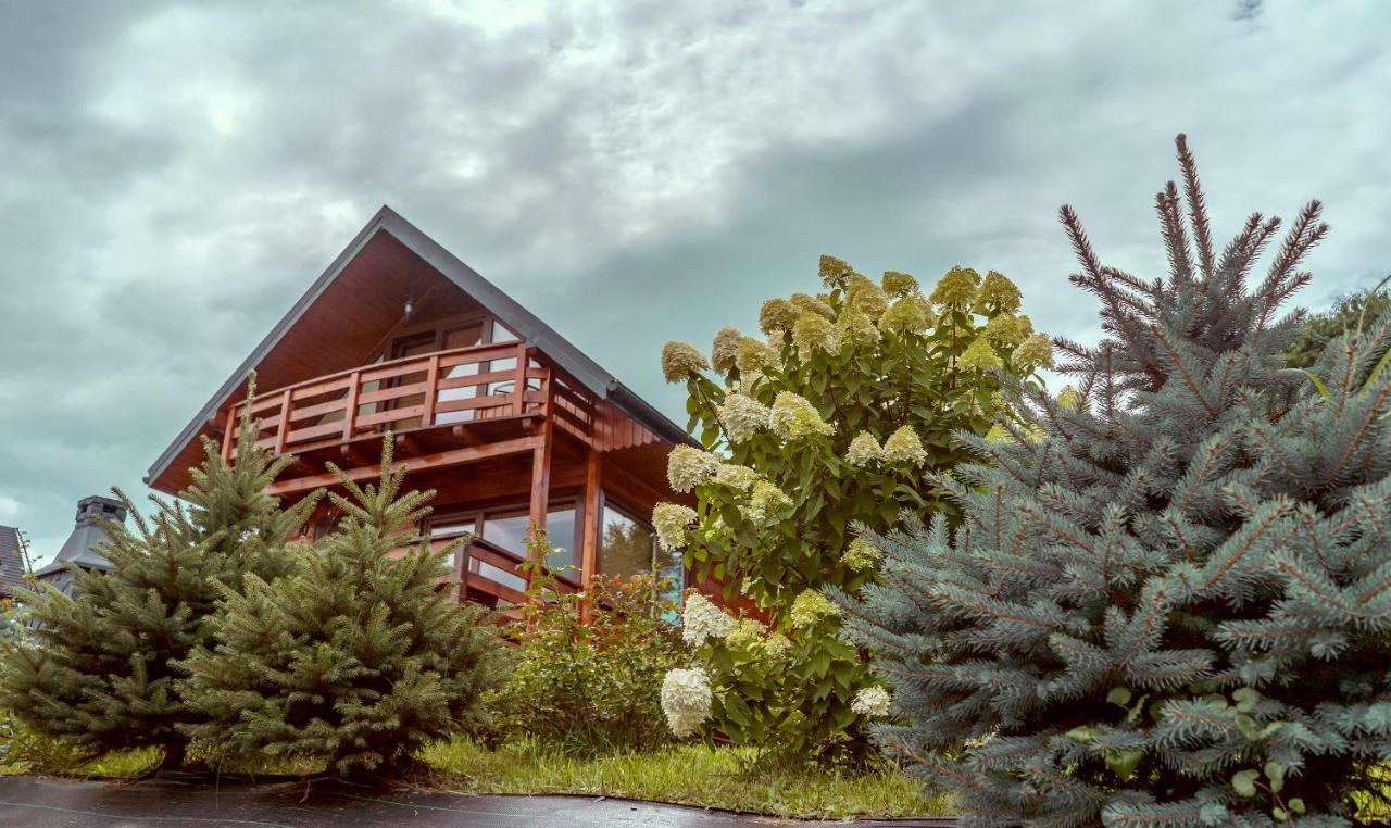 Buena Vista Polanczyk Domki Z Klimatyzacja 506 - 289 - 019 Polańczyk Exterior foto